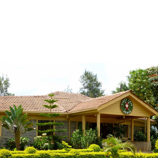 A Leap of Faith: New Partnership with First Love International, Kenya