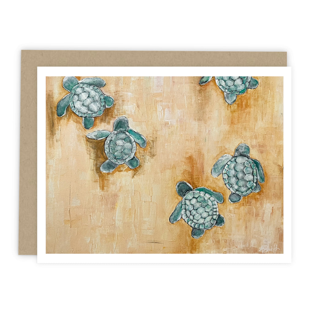 Assorted Coastal Life Cards: Boxed Set