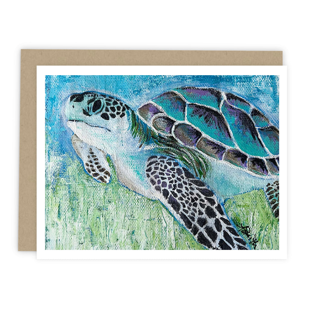 Assorted Coastal Life Cards: Boxed Set