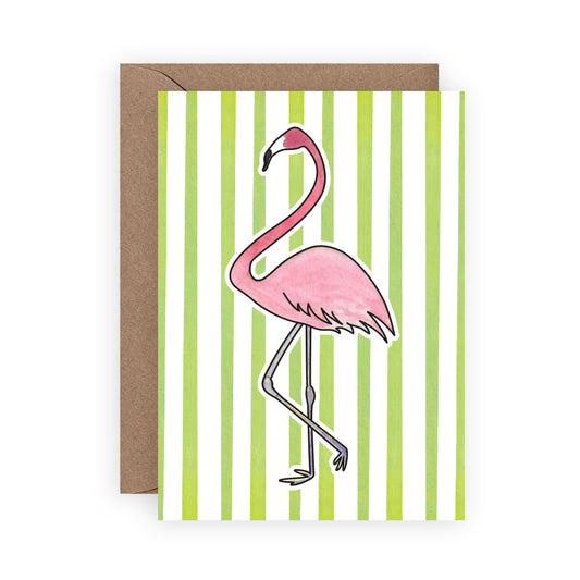 Flamingo Mini Enclosure Cards: Boxed Set