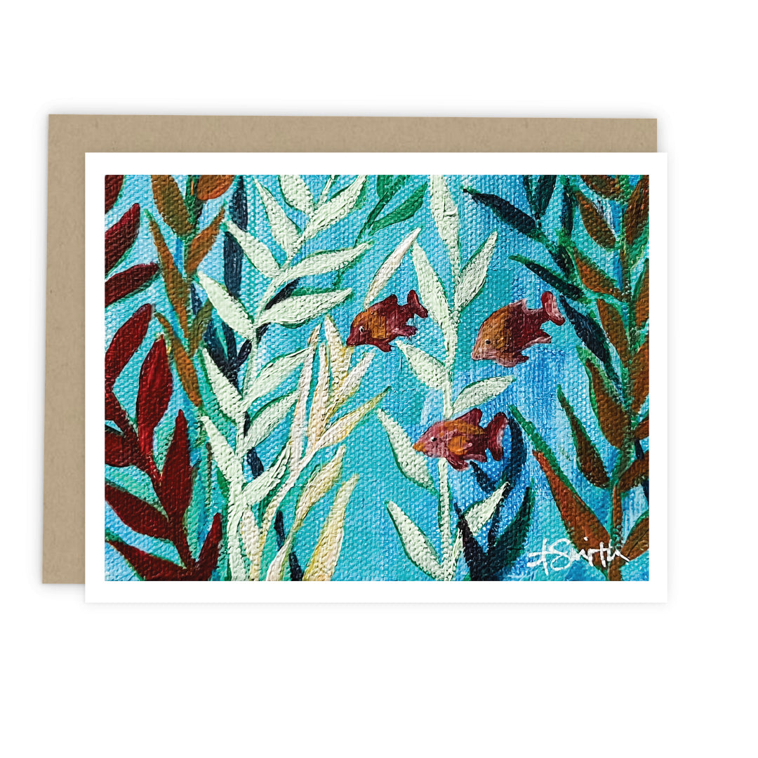 Assorted Coastal Life Cards: Boxed Set