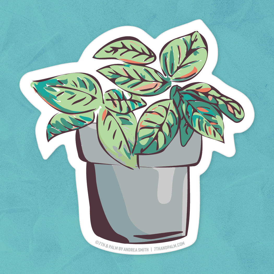 Pothos Plant Sticker