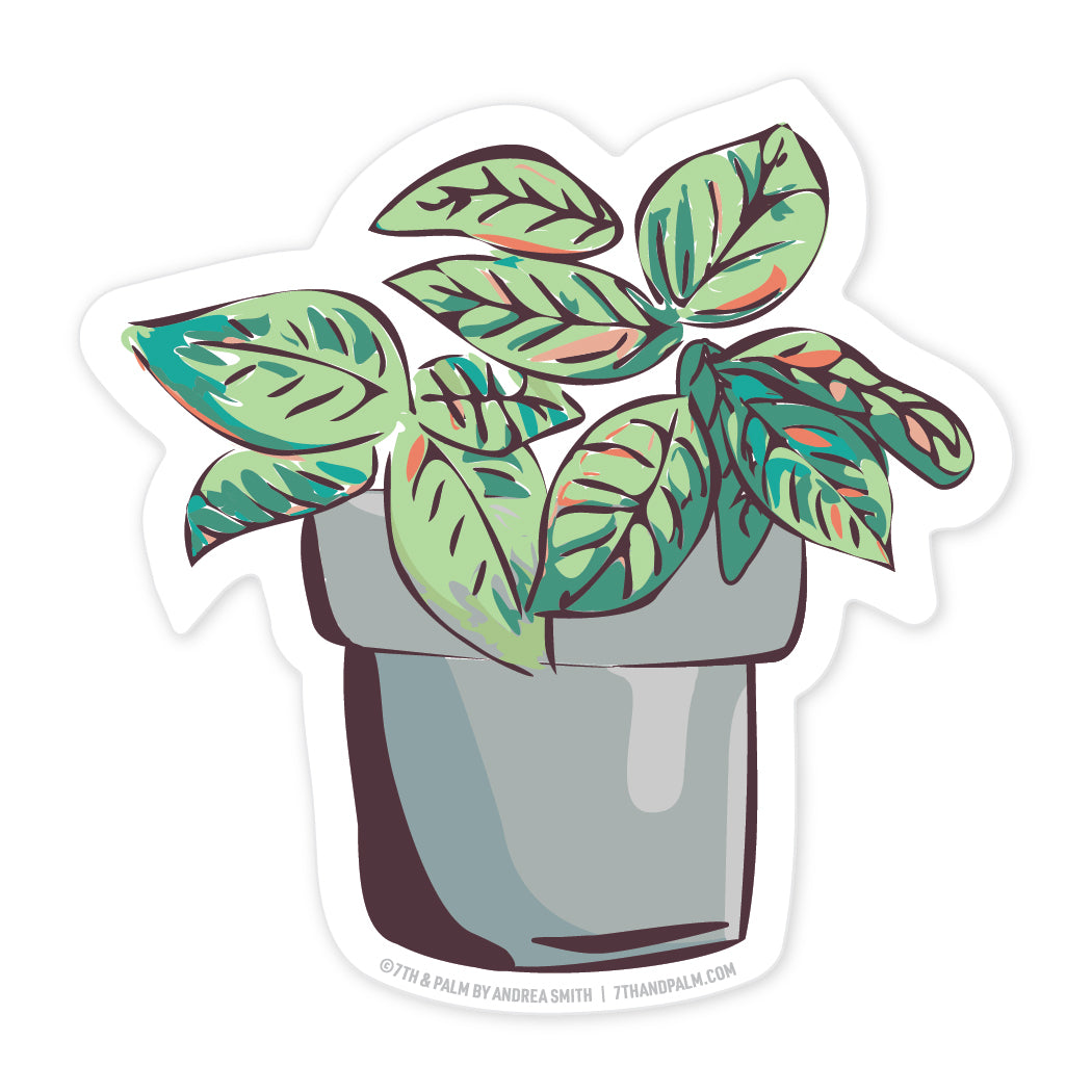 Pothos Plant Sticker