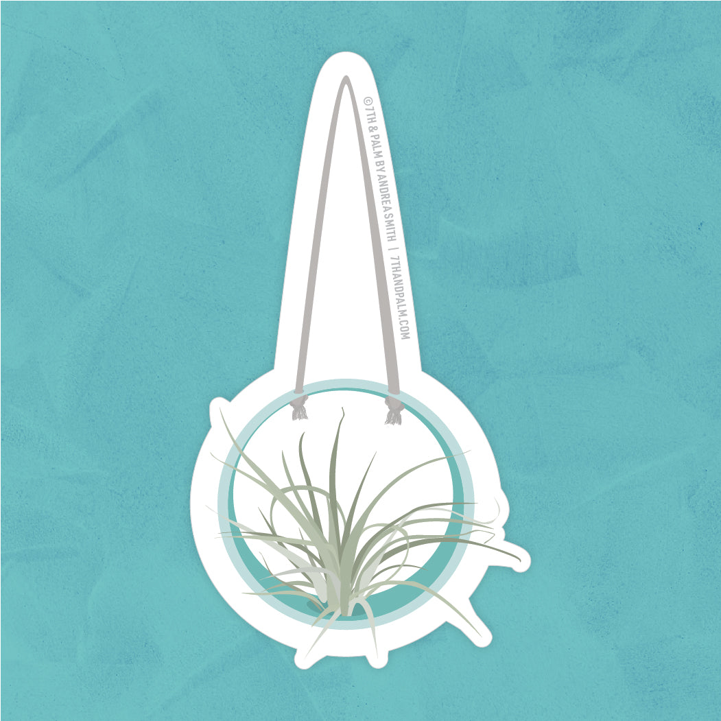 Hanging Air Plant Sticker