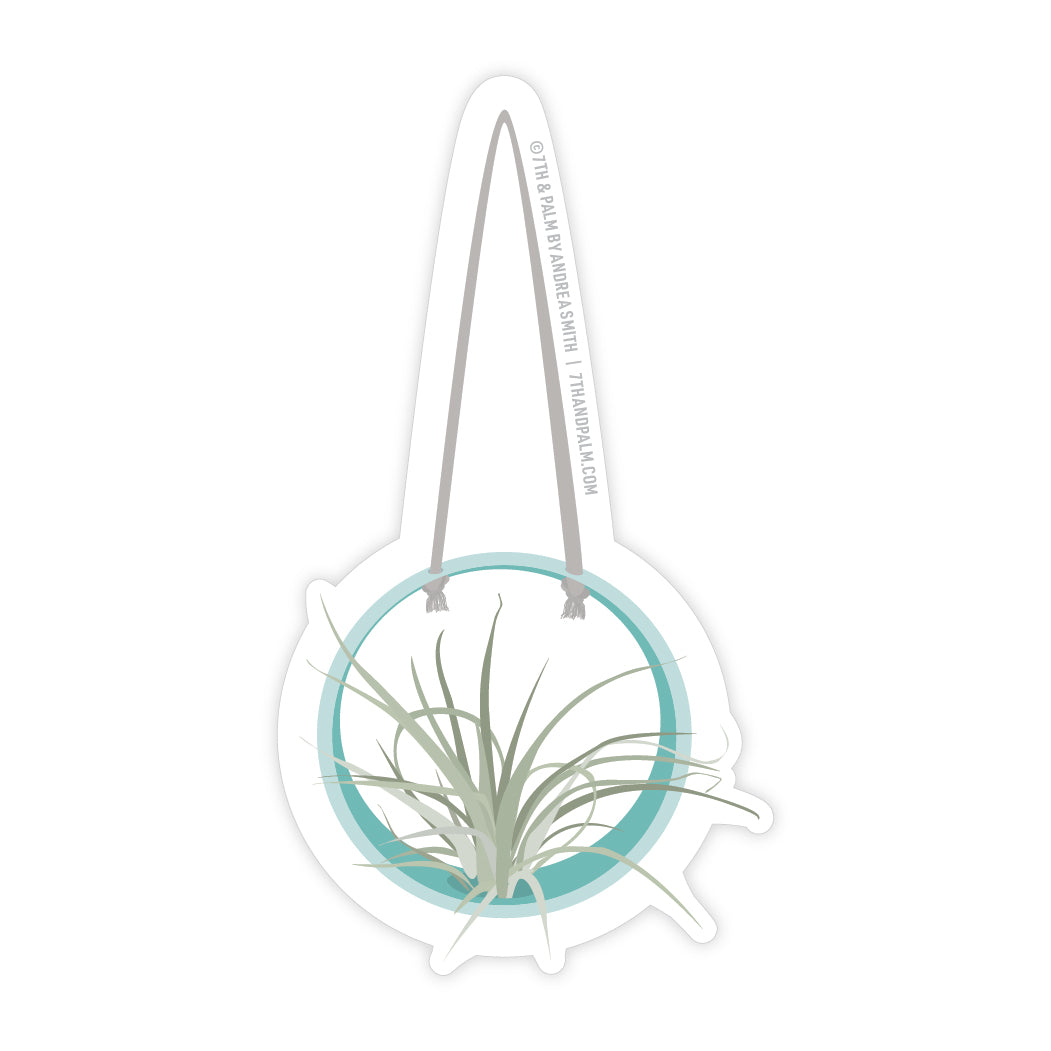 Hanging Air Plant Sticker