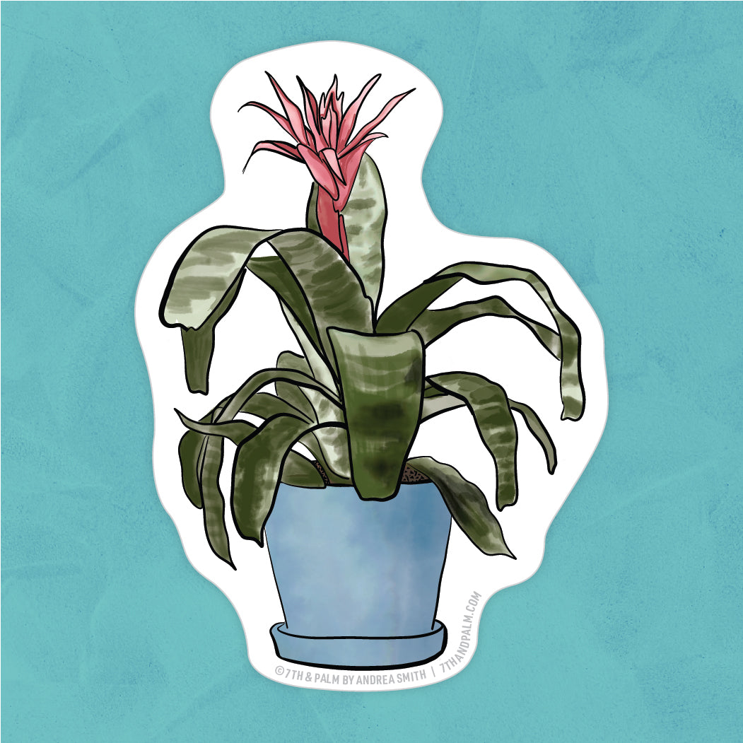 Bromeliad Sticker