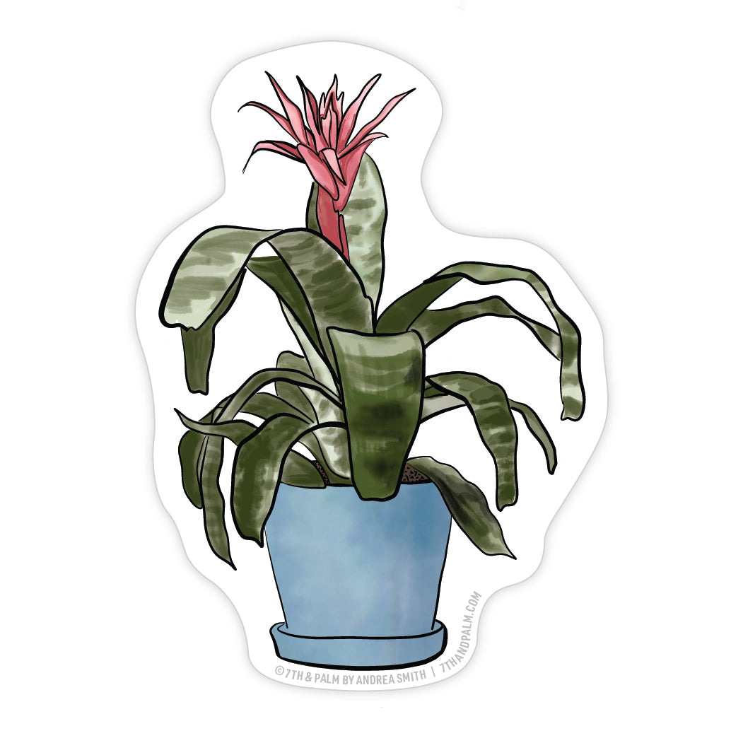 Bromeliad Sticker
