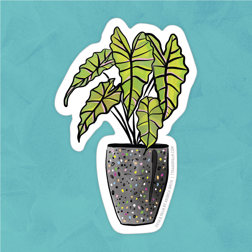 Alocasia Plant Sticker