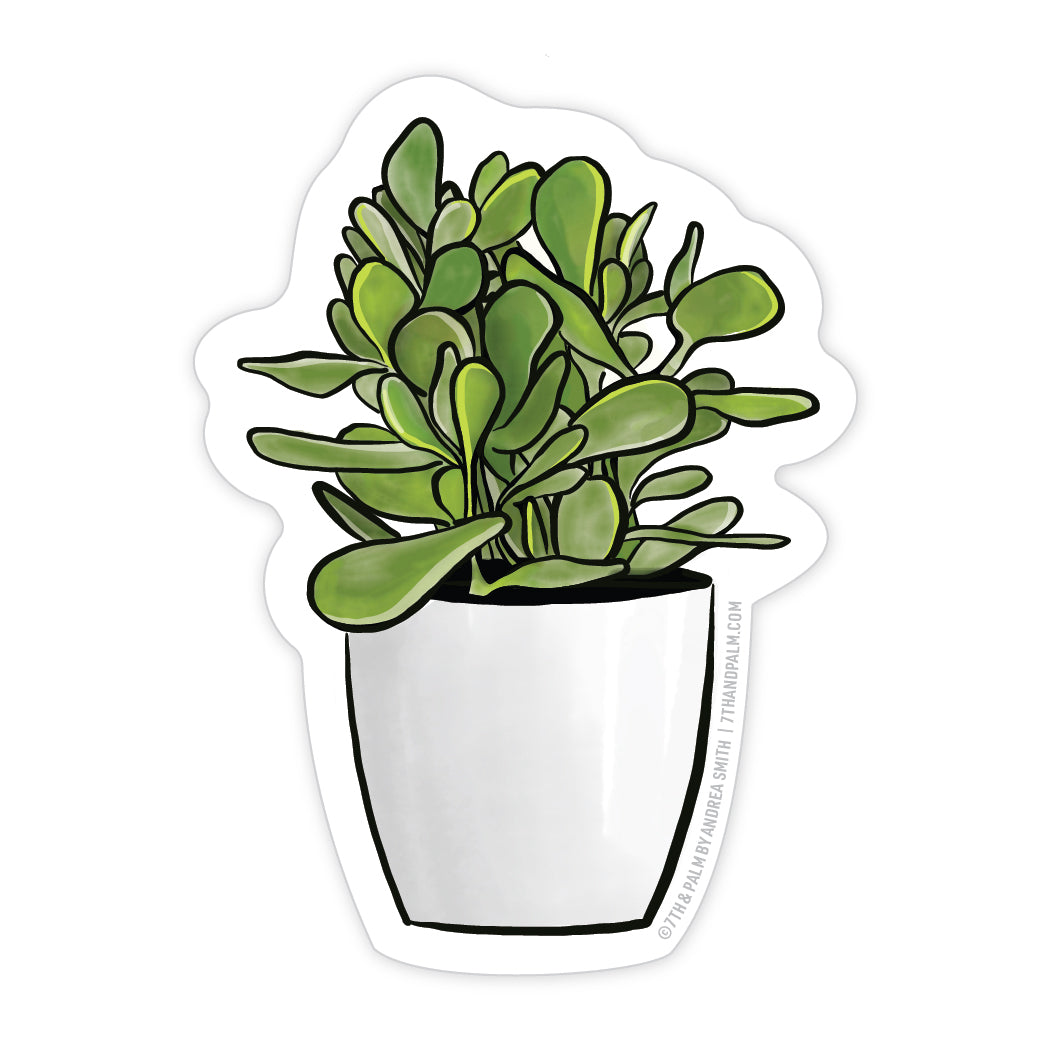 succulent plant stickers Jade Plant Sticker