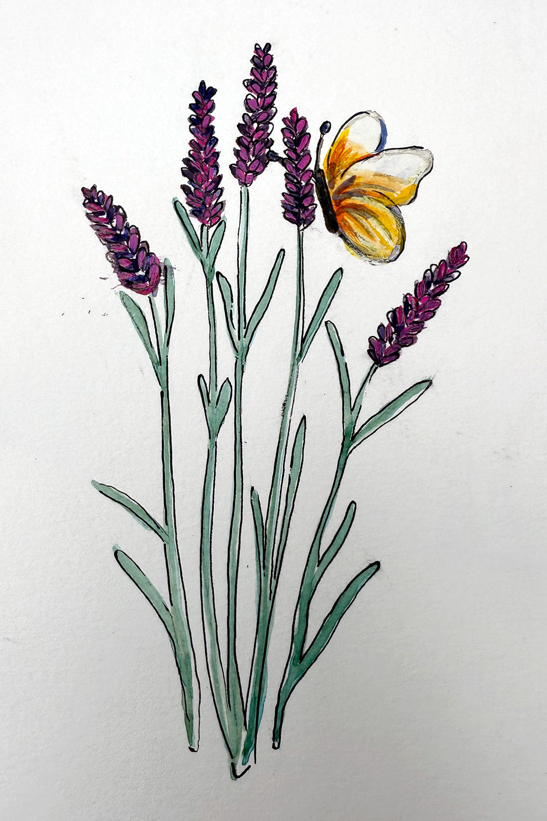 Lavender Watercolor Painting