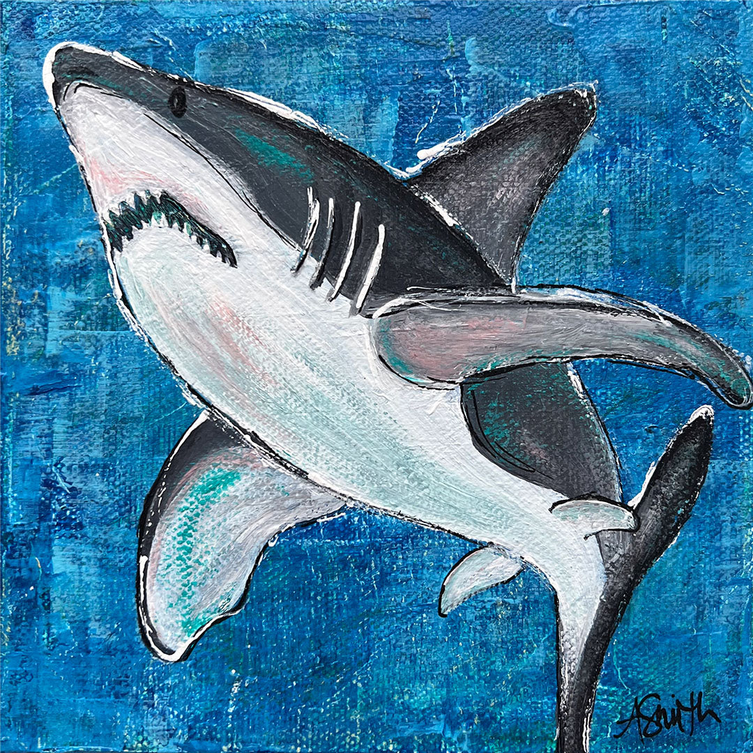 Shark, 6x6"