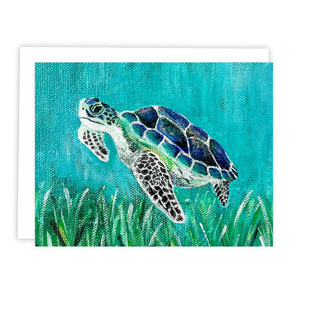 Seaside Assorted Cards: Boxed Set