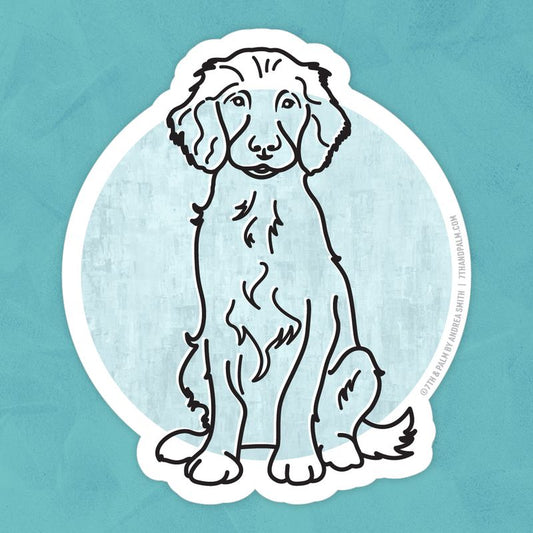 Boykin Spaniel Sticker