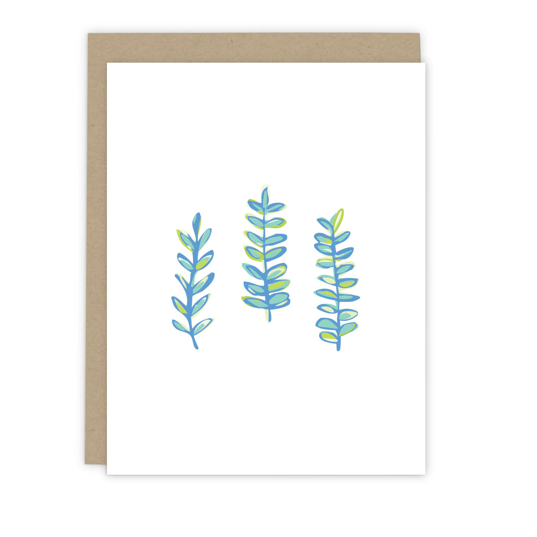 Sea Tangle Cards: Boxed Set