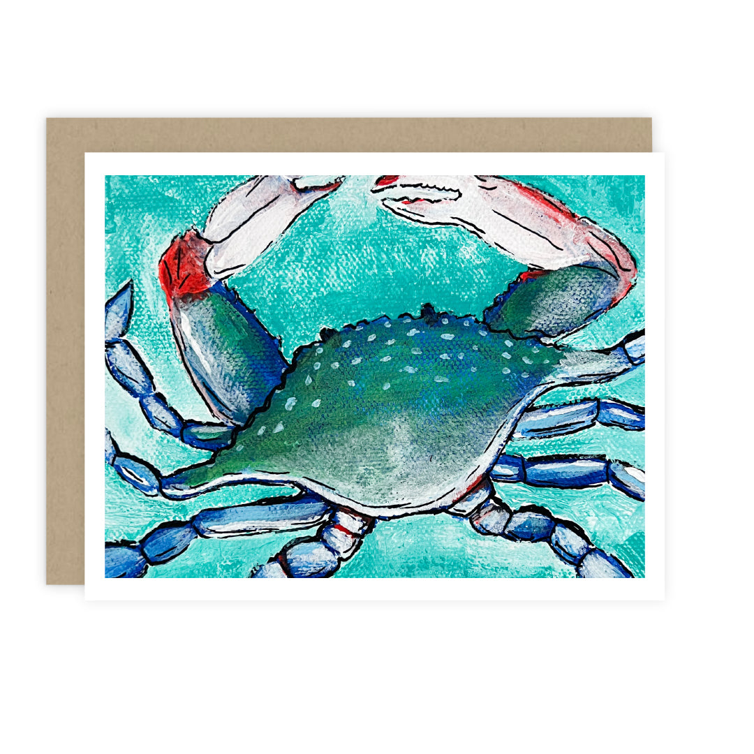 Beach Life Cards: Boxed Set
