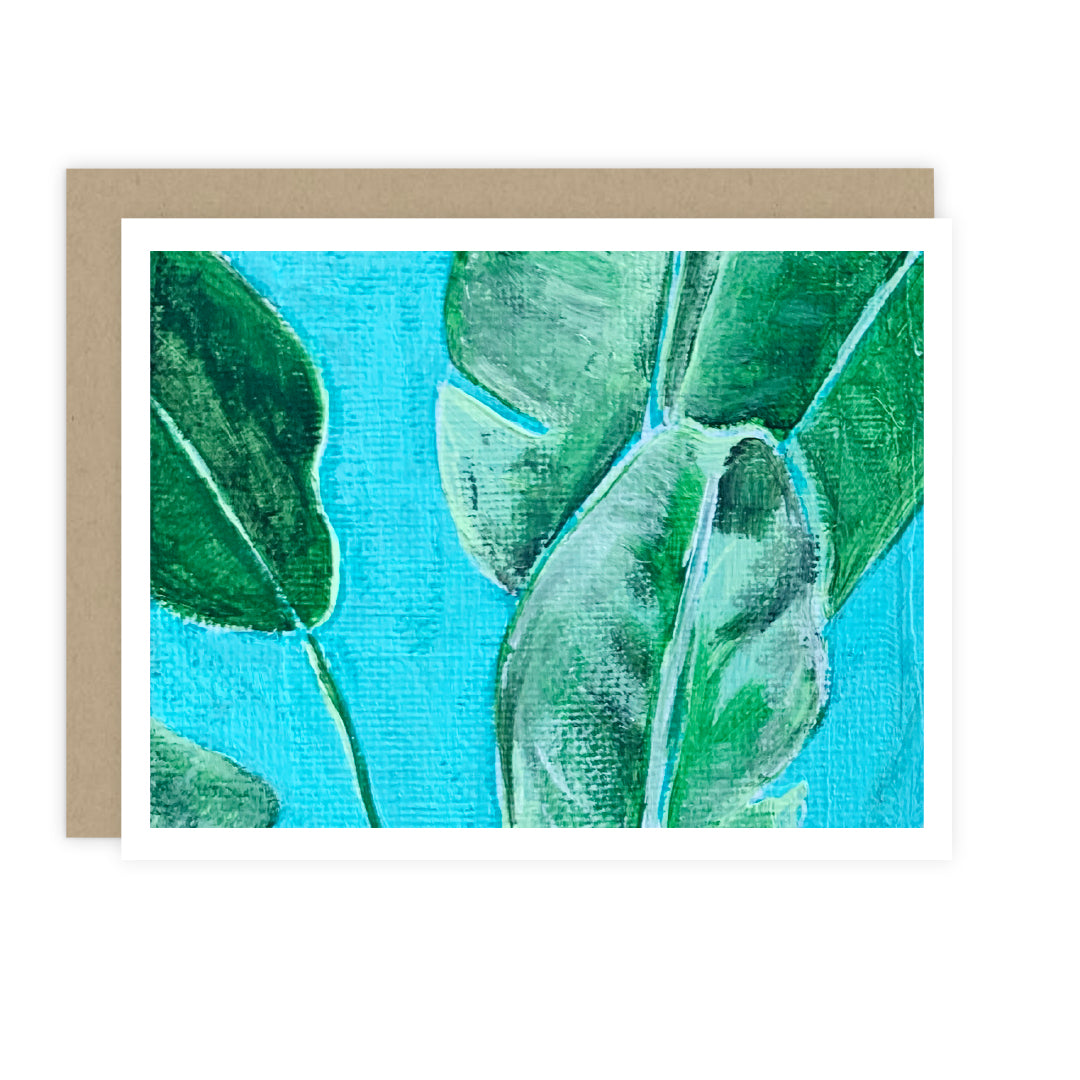 Beach Life Cards: Boxed Set