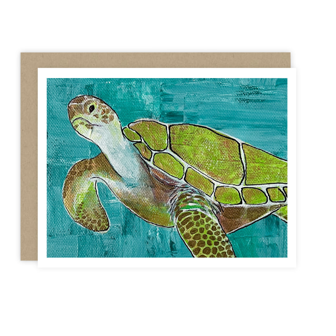 Beach Life Cards: Boxed Set