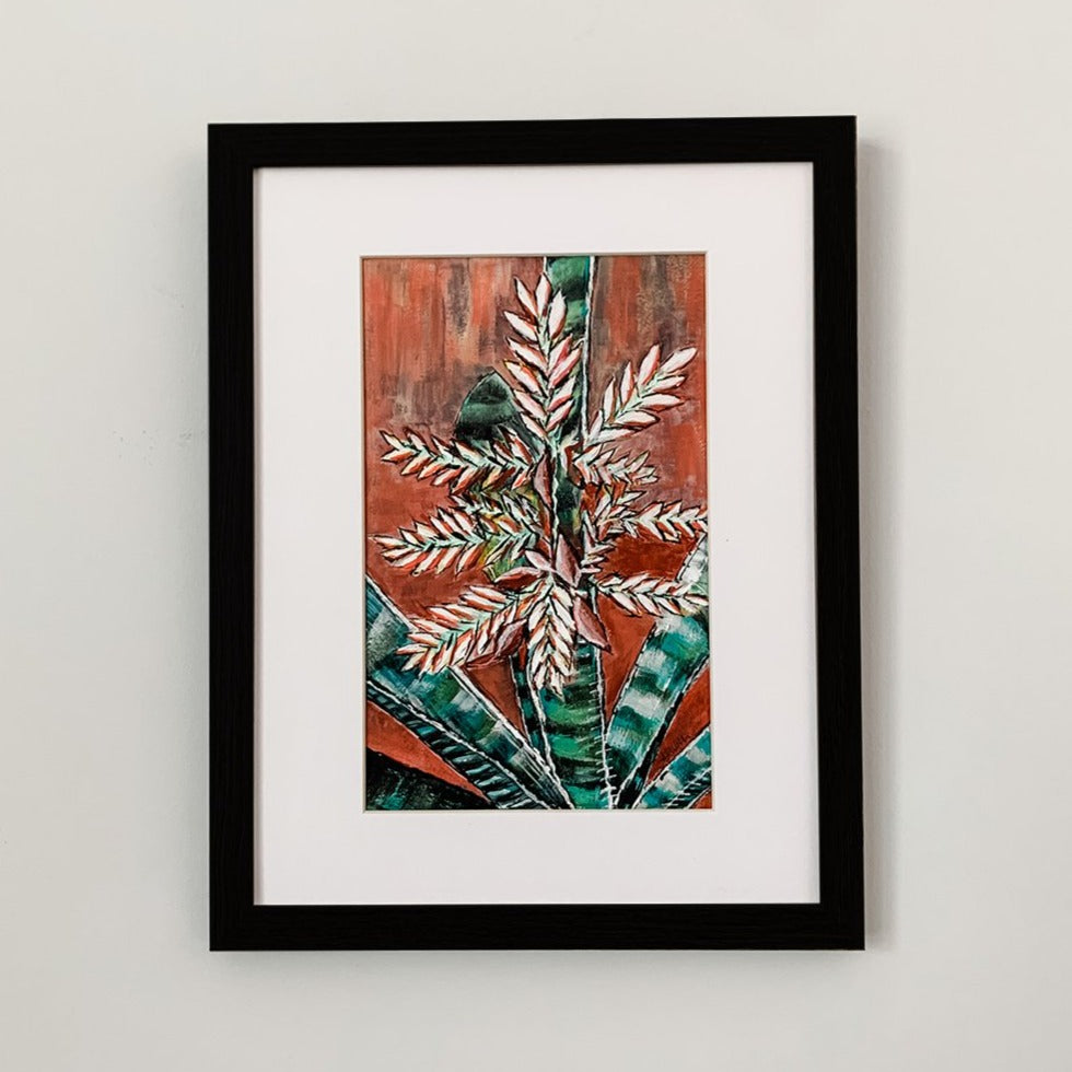 Bromelia Pinguin (Piñuela), 5x8"