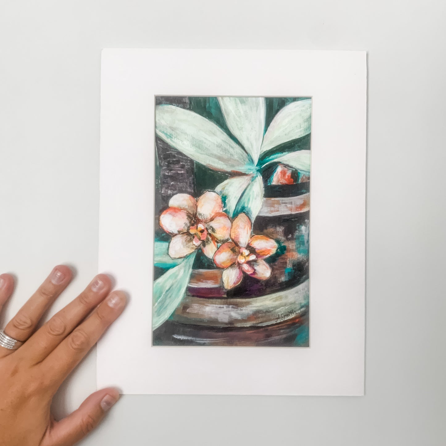 Phalaenopsis Amabilis (Moth Orchid), 5x8"