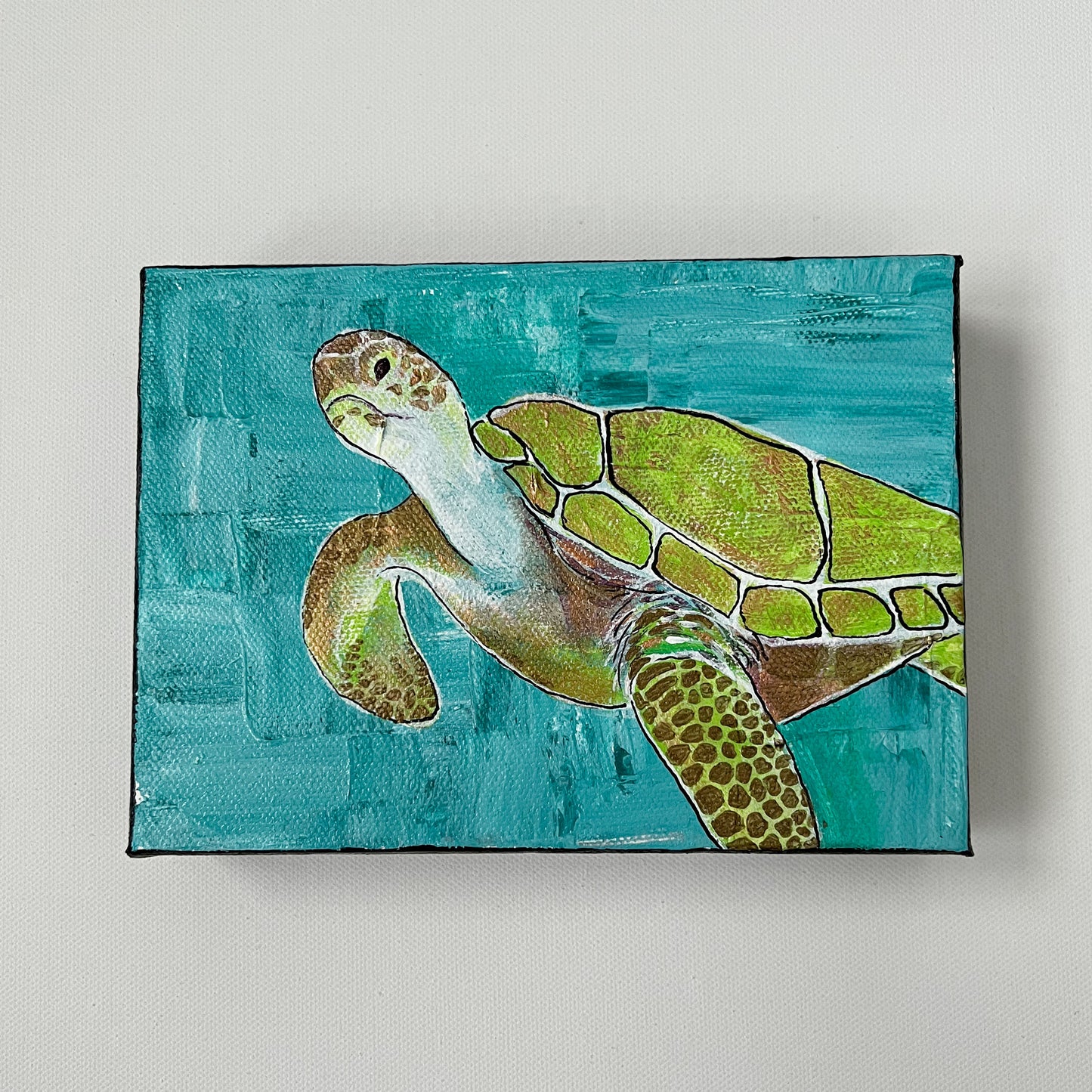 Turtle Time, 5x7"