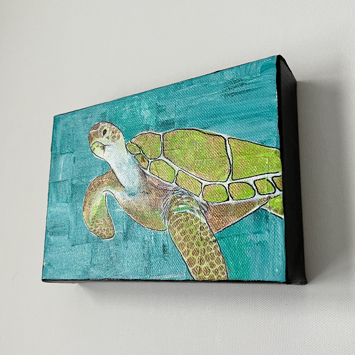 Turtle Time, 5x7"
