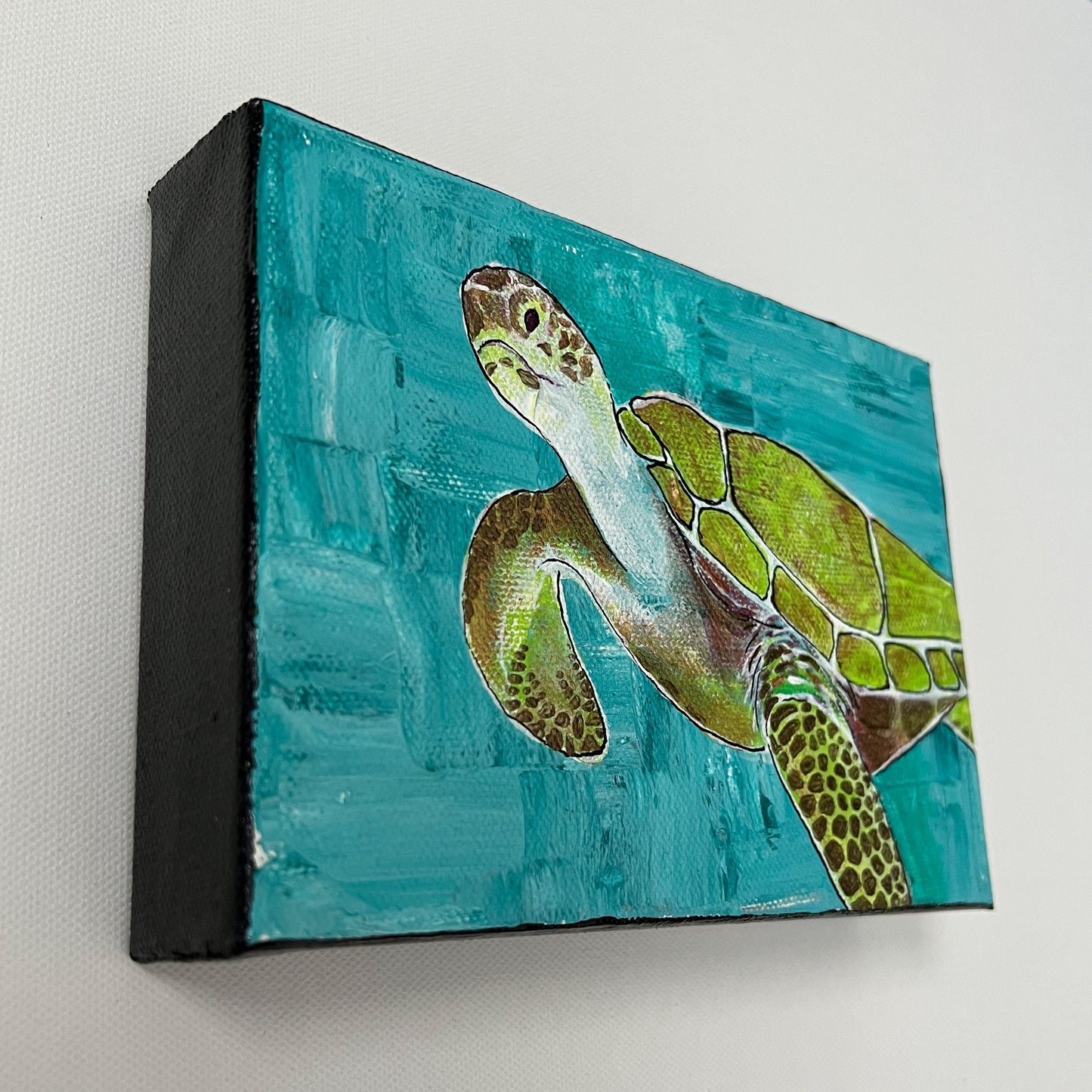 Turtle Time, 5x7"