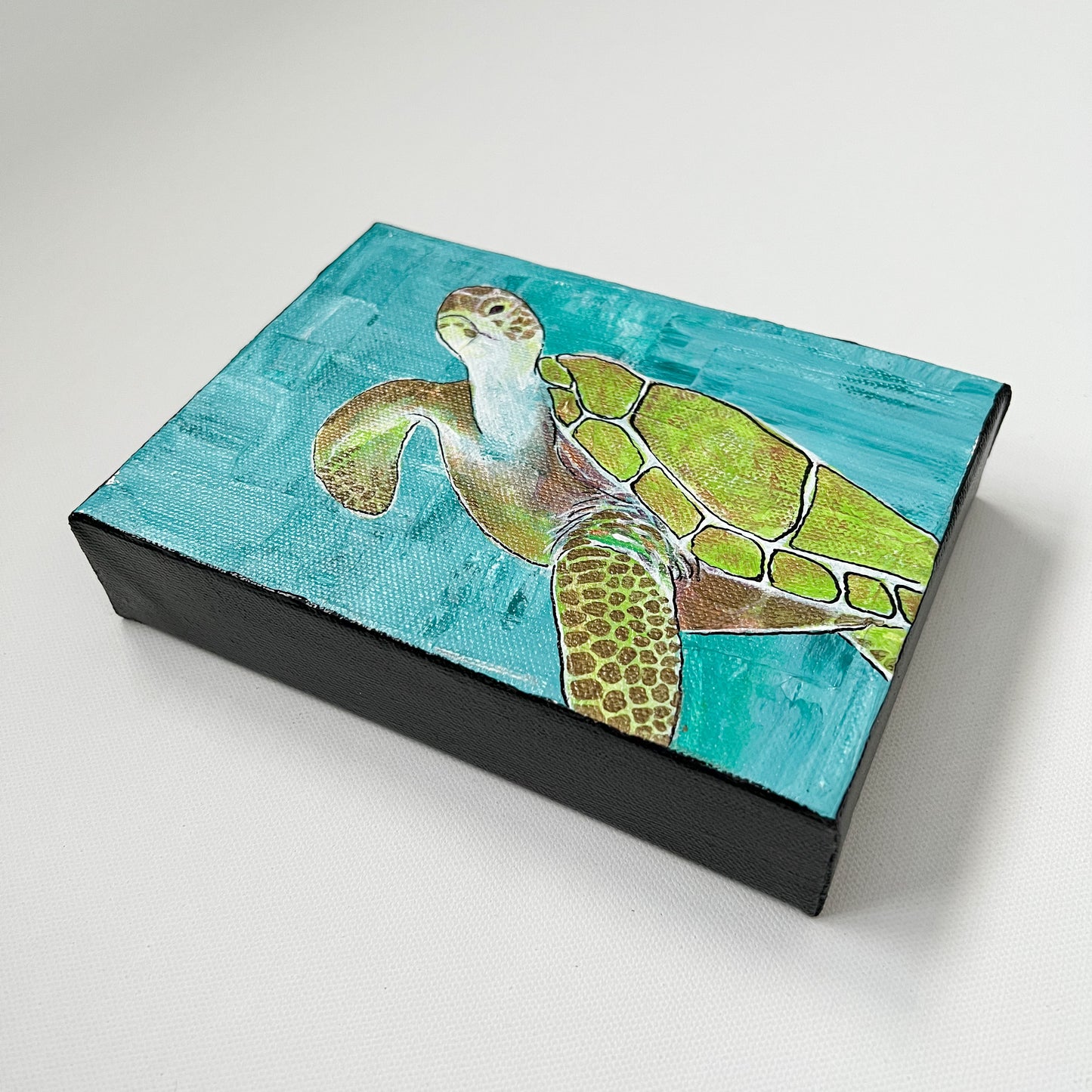 Turtle Time, 5x7"