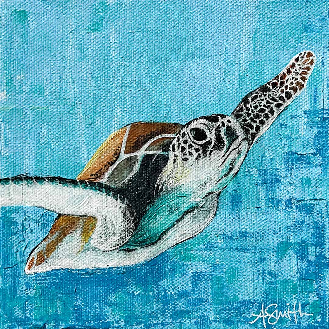 Baby Loggerhead, 6x6"