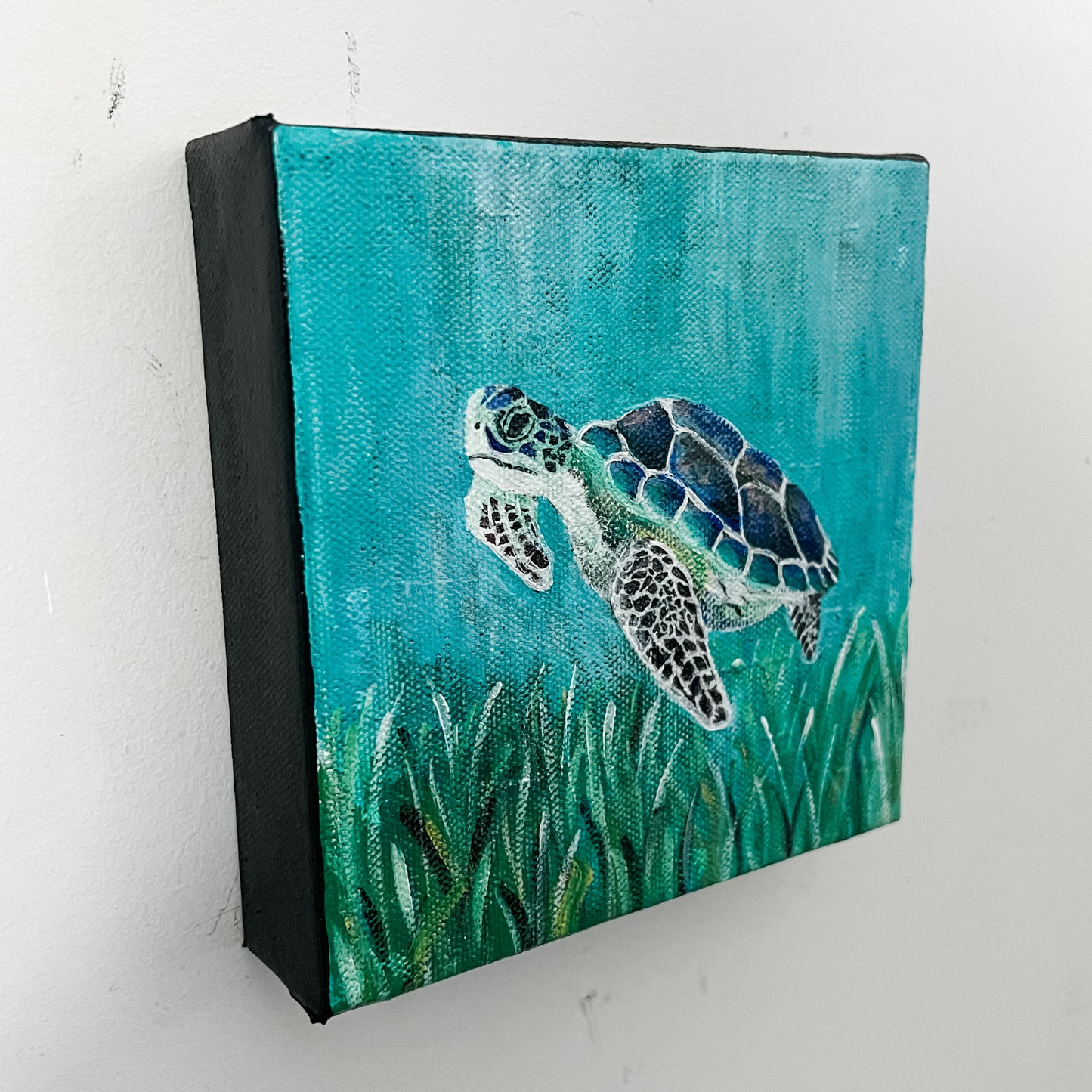 Honu, 6x6"