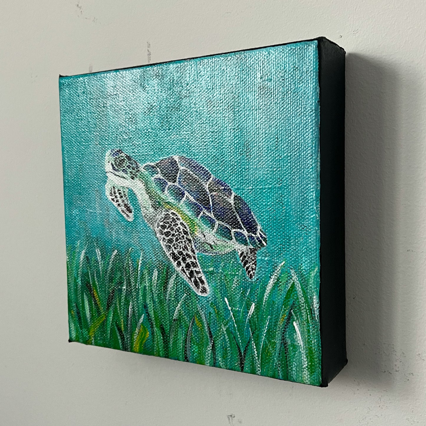 Honu, 6x6"