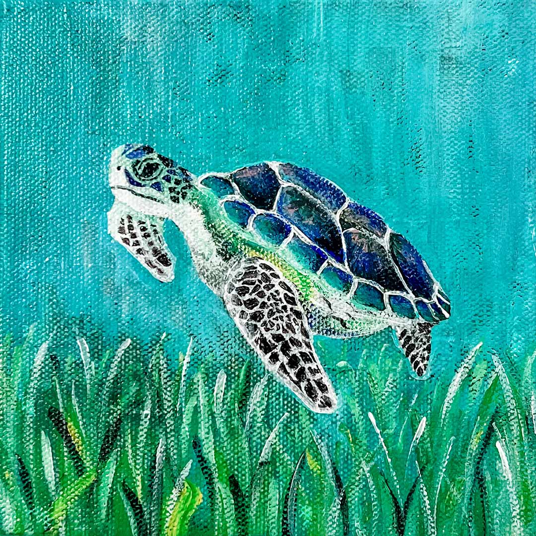 Honu, 6x6"