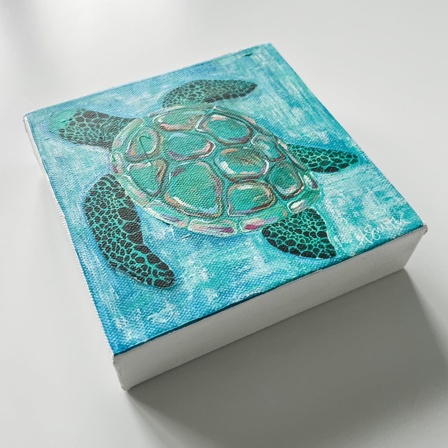 Papa Loggerhead Acrylic Painting, 6x6"