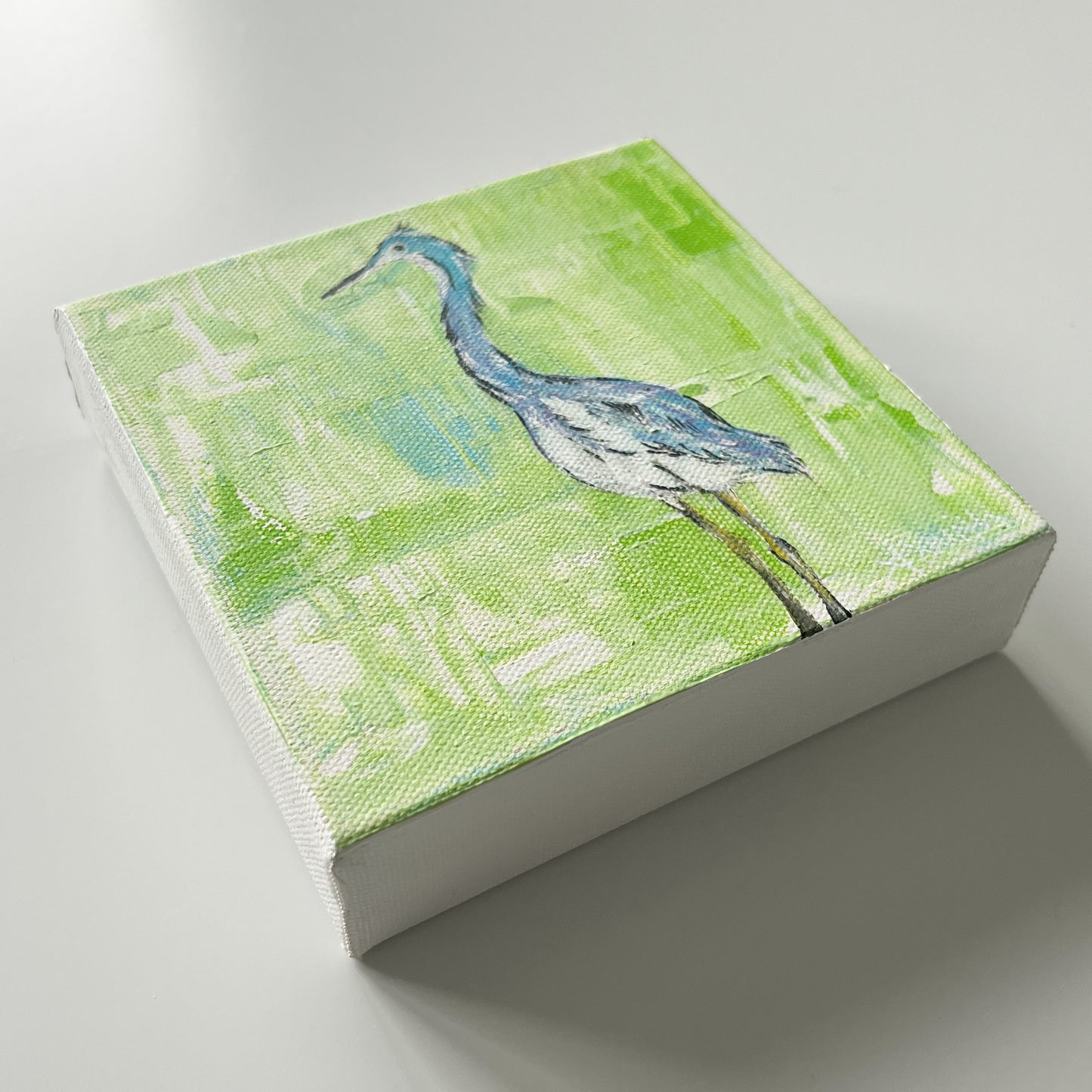 Tricolored Heron Acrylic Painting, 6x6"