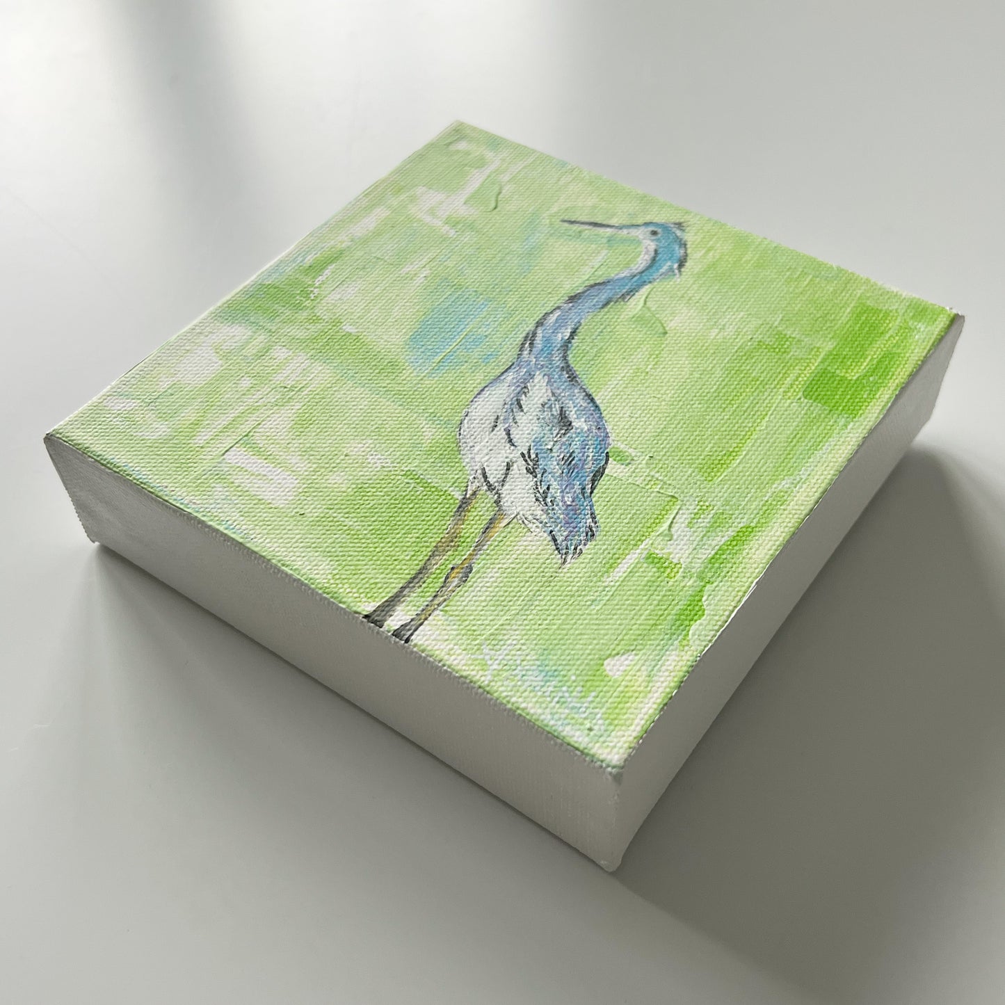 Tricolored Heron Acrylic Painting, 6x6"