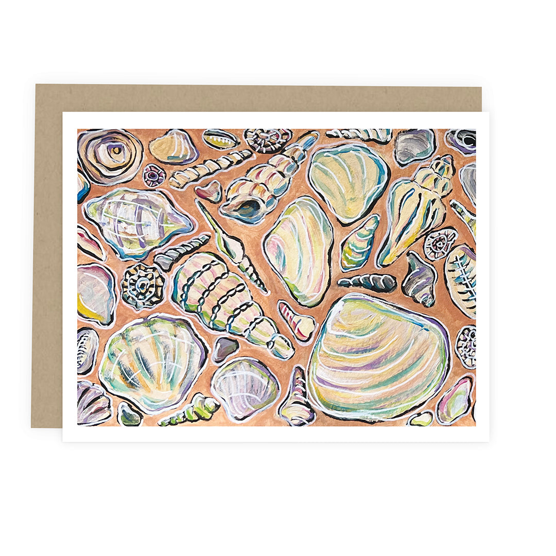 Seashell Cards: Boxed Set