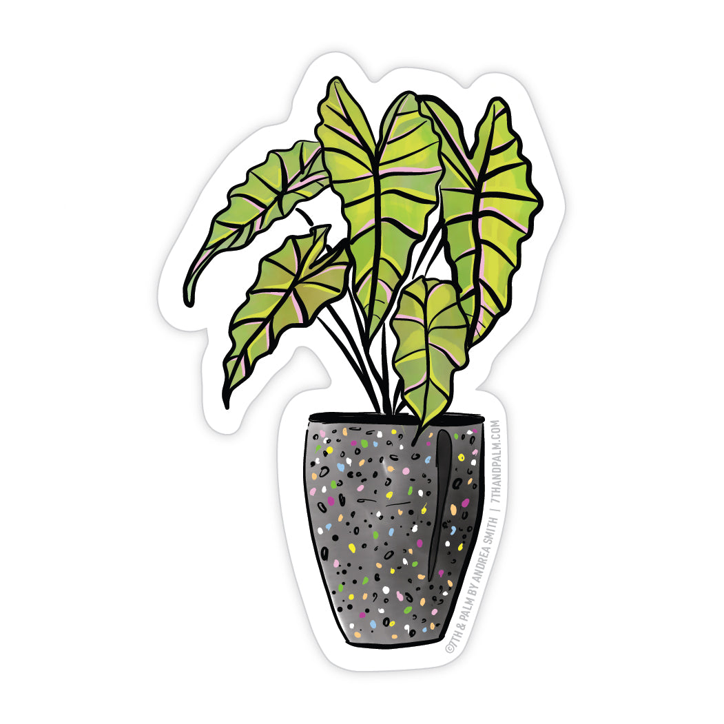 Alocasia Plant Sticker