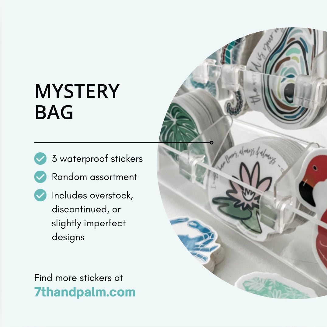 Mystery Bag: 3 Stickers