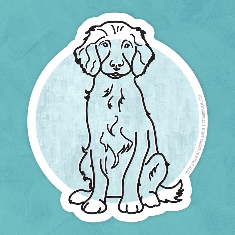 Boykin Spaniel Sticker