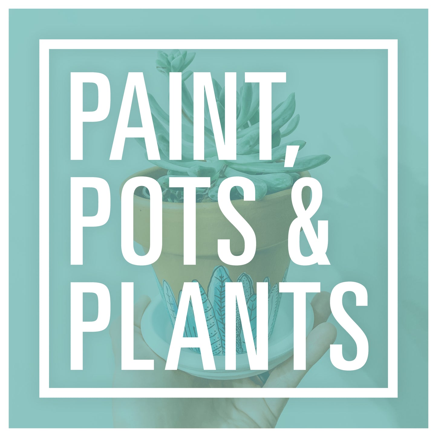 CANCELED | Early Galentine's Day: Paint, Pots & Plants Class at Haig Point