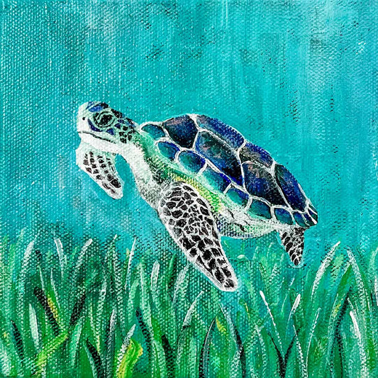 Honu, 6x6"