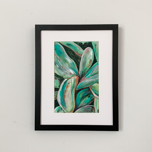 Cordyline Fruticosa (Palm Lily), 5x8"