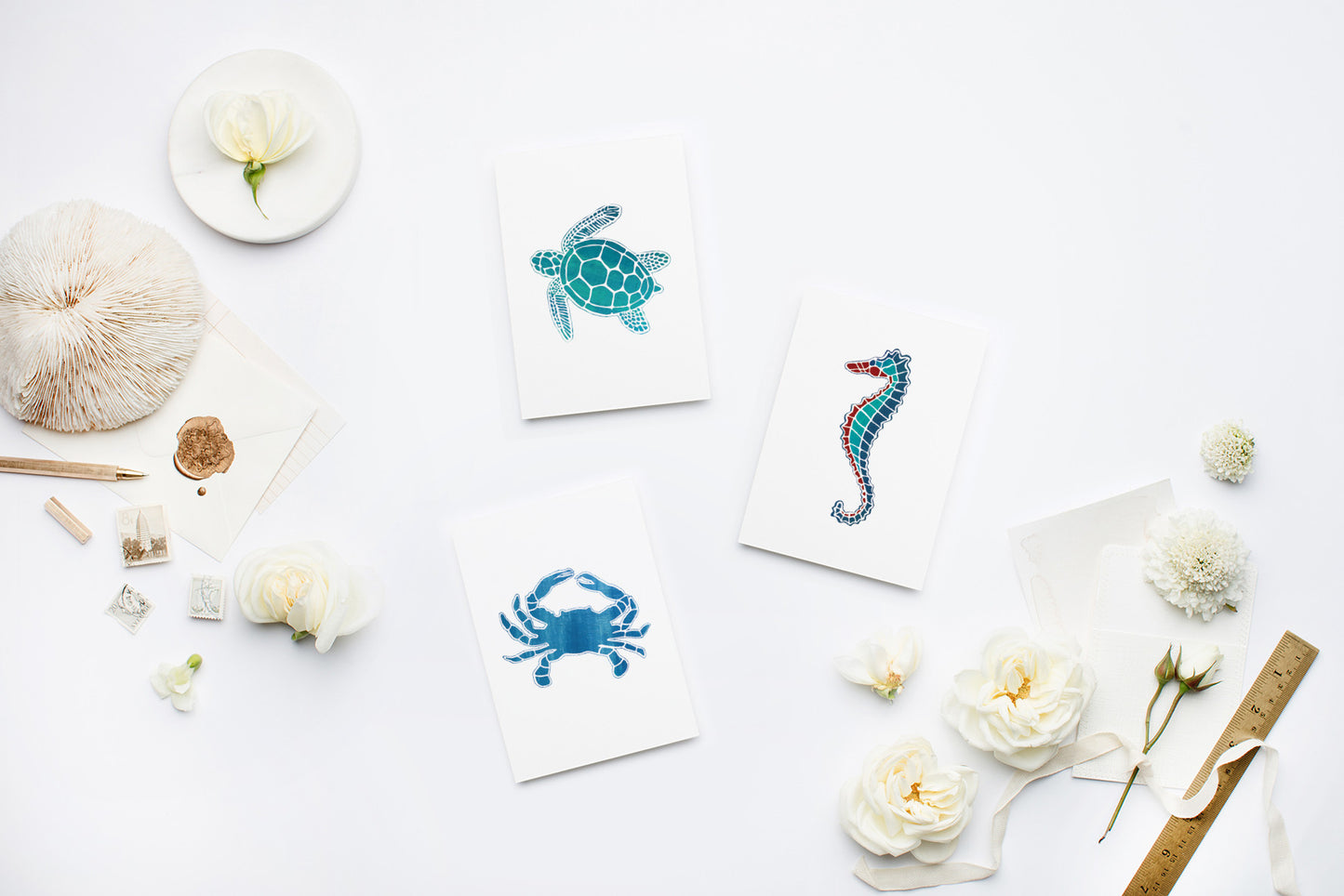 Sea Life Stationery | Note Cards by 7th & Palm